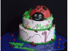 lady-bug-cake
